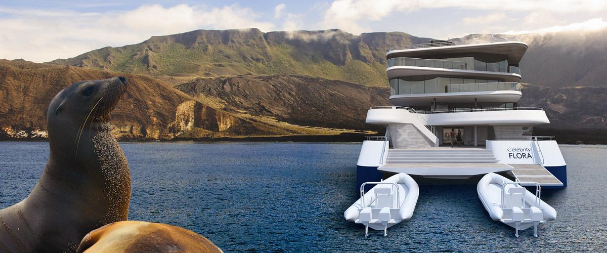 El Celebrity Flora ha sido concebido específicamente para este destino, las Islas Galápagos, equipando al buque con la más moderna tecnología de protección medioambiental y con un diseño moderno y actual, siempre confortable y asequible para los pasajeros. CRUCEROS CELEBRITY FLORA CRUCEROS EXPLORACION ISLAS GALAPAGOS CRUCEROS EXPEDICION CRUCEROS AVENTURA CRUCEROS NATURALES CRUCEROS NATIONAL GEOGRAFIC NATIONAL GEOGRAPHIC CRUCEROS NATURALEZA CRUCEROS ISLAS GALAPAGOS CRUCEROS PARQUE NATURAL EXPLORACION GALAPAGOS CRUCEROS CELEBRITY CRUISES #Galapagos #CrucerosGalapagos #CelebrityFlora #CelebrityCruises #CrucerosCelebrity #CrucerosExploracion #CrucerosExpedicion #CrucerosAventura #CrucerosBarcoPequeño #BarcosExploracion #YateExploracion